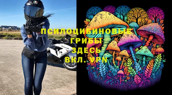 молекула духа Краснотурьинск