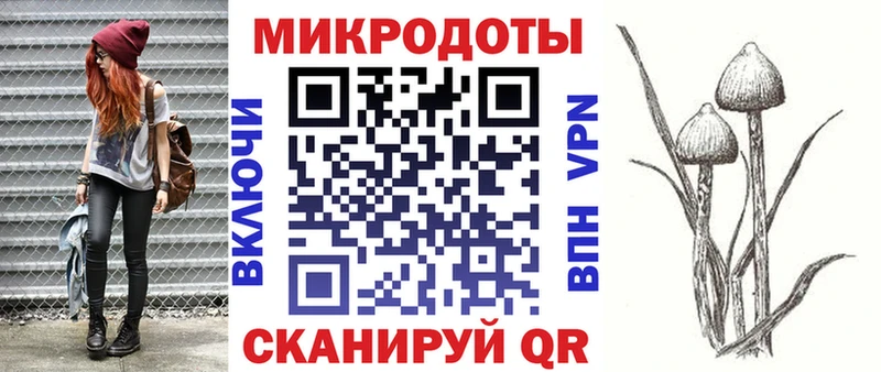 купить наркоту  Малгобек  Галлюциногенные грибы Cubensis 