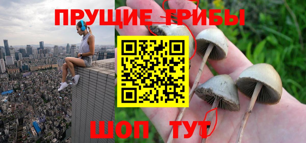 Галлюциногенные грибы Magic Shrooms Малгобек