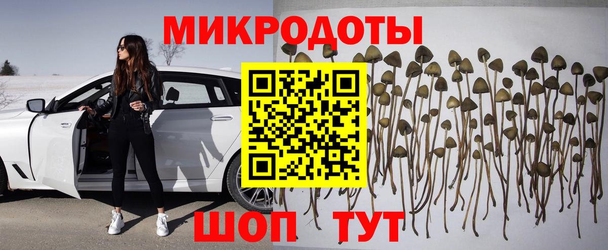 Малгобек  Галлюциногенные грибы GOLDEN TEACHER  Вход с VPN  Псилоцибиновые грибы MAGIC MUSHROOMS 